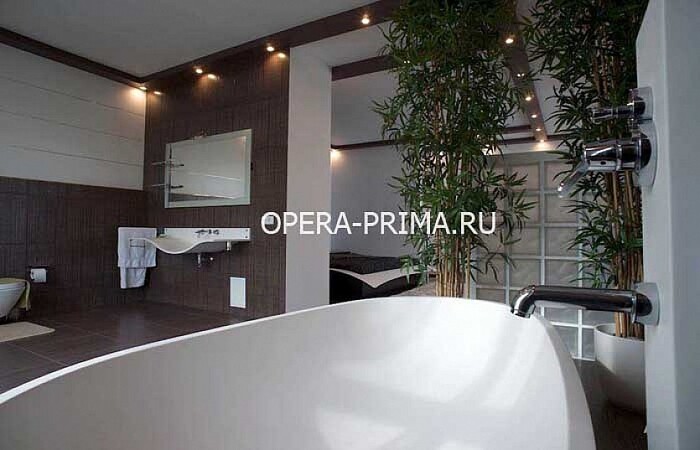 OPERA-PRIMA.ru 315, , , , Солнечная тропа